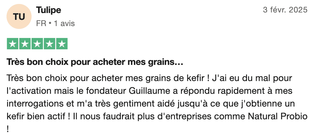 Kéfir Kéfir d'eau Kéfir de fruits Kéfir de lait Grains de Kéfir Kombucha SCOBY