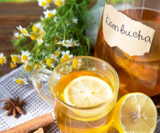 Kombucha La Boisson Antioxydante et Énergisante qui Réveille Votre Corps