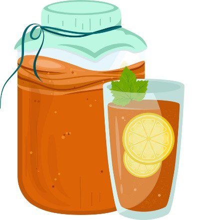 Kombucha La Boisson Antioxydante et Énergisante qui Réveille Votre Corps
